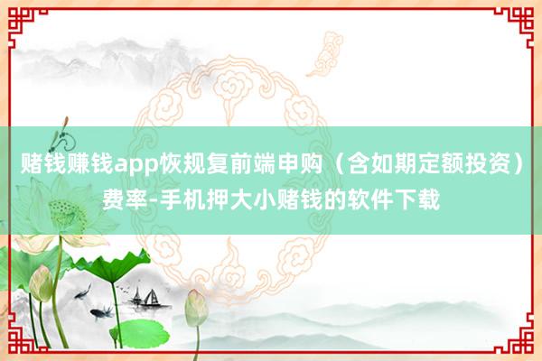 赌钱赚钱app恢规复前端申购（含如期定额投资）费率-手机押大小赌钱的软件下载