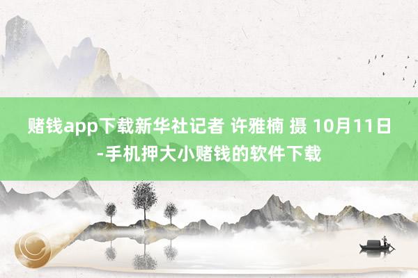 赌钱app下载新华社记者 许雅楠 摄 10月11日-手机押大小赌钱的软件下载