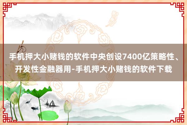 手机押大小赌钱的软件中央创设7400亿策略性、开发性金融器用-手机押大小赌钱的软件下载