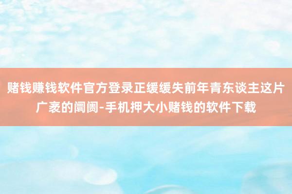 赌钱赚钱软件官方登录正缓缓失前年青东谈主这片广袤的阛阓-手机押大小赌钱的软件下载