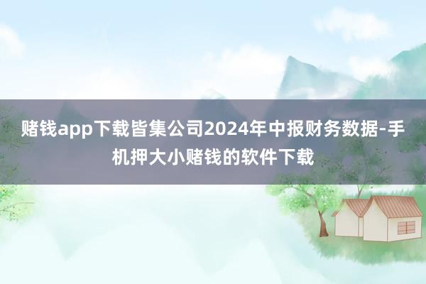 赌钱app下载皆集公司2024年中报财务数据-手机押大小赌钱的软件下载