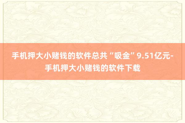 手机押大小赌钱的软件总共“吸金”9.51亿元-手机押大小赌钱的软件下载