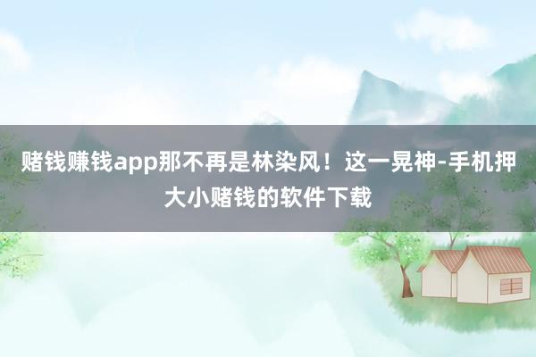 赌钱赚钱app那不再是林染风！这一晃神-手机押大小赌钱的软件下载