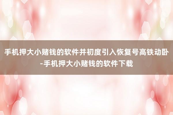 手机押大小赌钱的软件并初度引入恢复号高铁动卧-手机押大小赌钱的软件下载