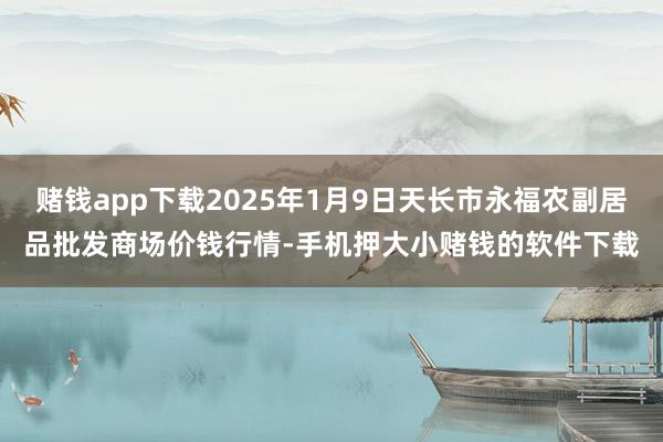 赌钱app下载2025年1月9日天长市永福农副居品批发商场价钱行情-手机押大小赌钱的软件下载