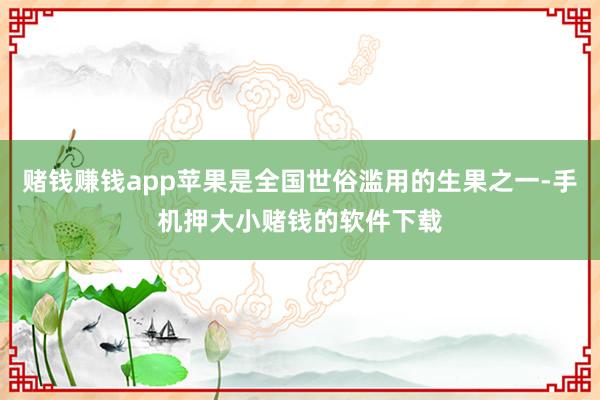 赌钱赚钱app苹果是全国世俗滥用的生果之一-手机押大小赌钱的软件下载