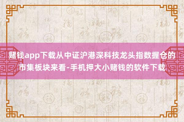 赌钱app下载从中证沪港深科技龙头指数握仓的市集板块来看-手机押大小赌钱的软件下载